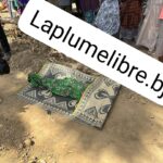 PROPOS SUBVERSIFS TENUS PAR L’ANCIEN DÉPUTÉ ISSA SALIFOU À KARIMAMA : Le maire Dourhaman Igouma dénonce et apaise !